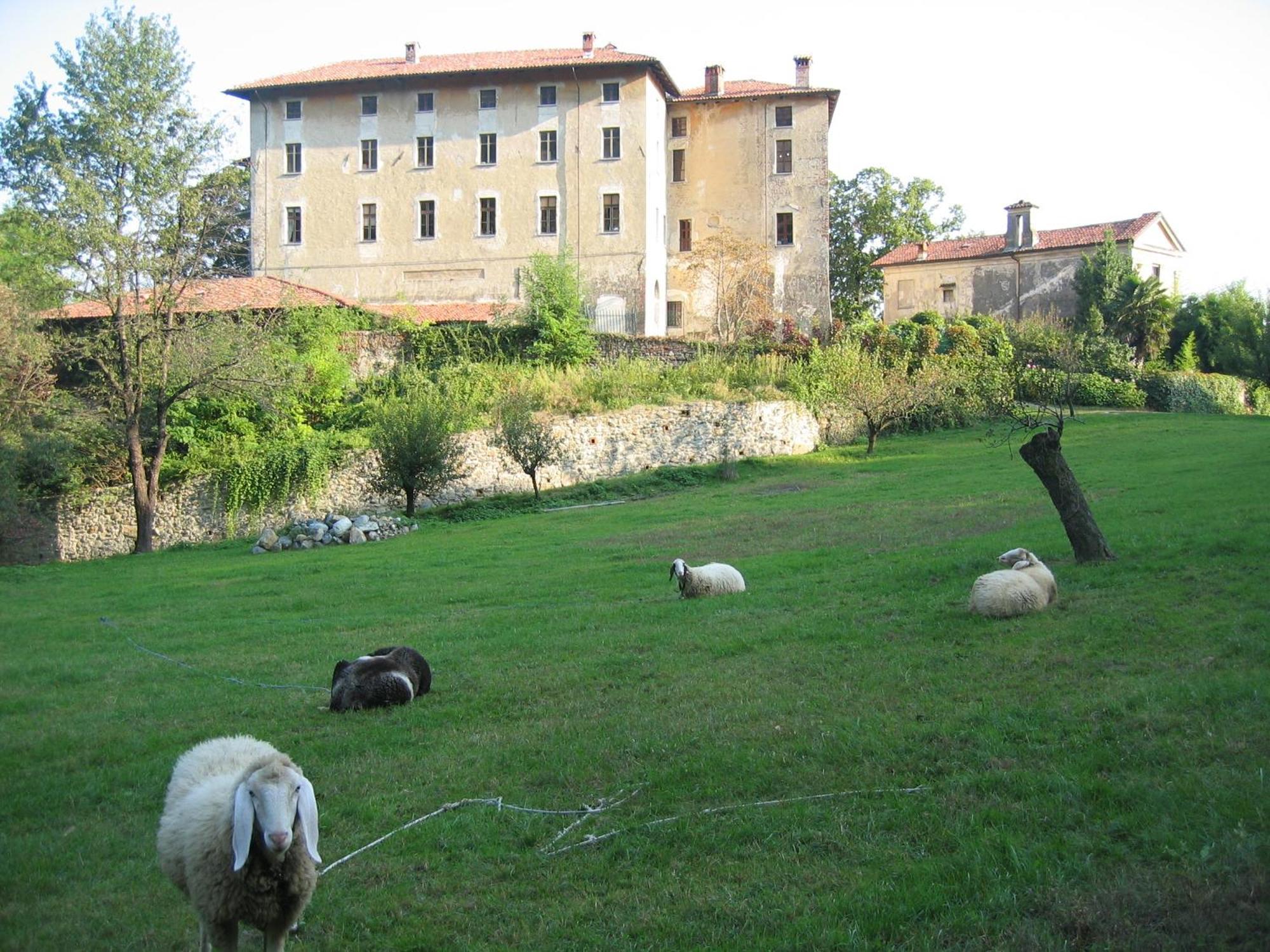B&B Castello Di Camerletto Caselette Екстериор снимка